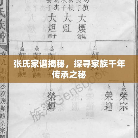 張氏家譜揭秘，探尋家族千年傳承之秘