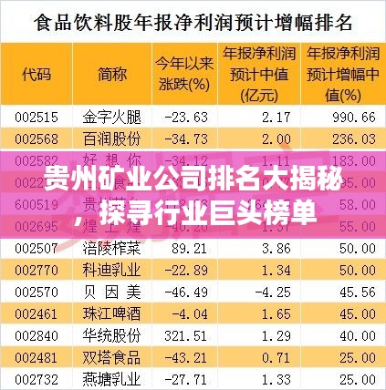 貴州礦業(yè)公司排名大揭秘，探尋行業(yè)巨頭榜單