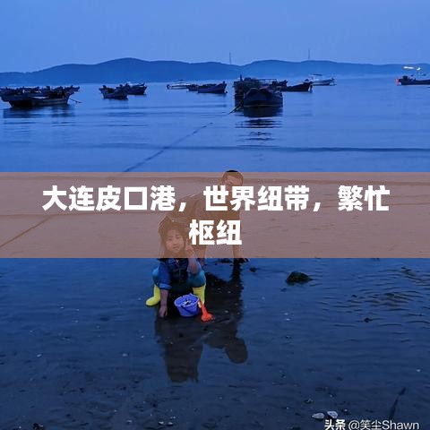 大連皮口港，世界紐帶，繁忙樞紐