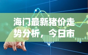 海門最新豬價(jià)走勢(shì)分析，今日市場(chǎng)趨勢(shì)解讀