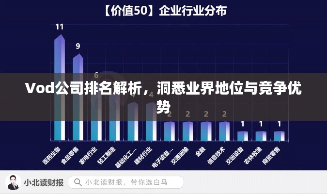 Vod公司排名解析，洞悉業(yè)界地位與競爭優(yōu)勢