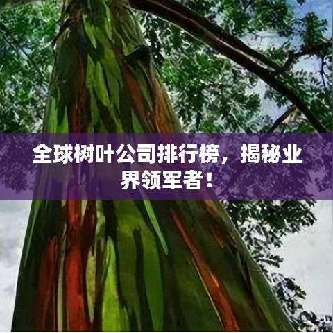 全球樹葉公司排行榜，揭秘業(yè)界領(lǐng)軍者！