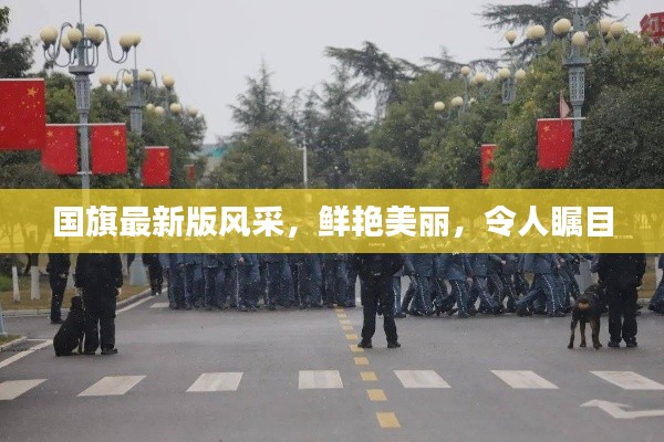 國旗最新版風(fēng)采，鮮艷美麗，令人矚目