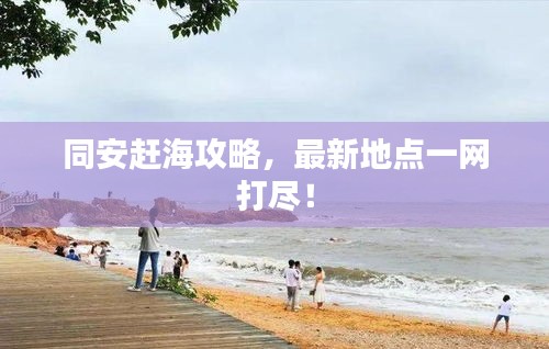 同安趕海攻略，最新地點(diǎn)一網(wǎng)打盡！