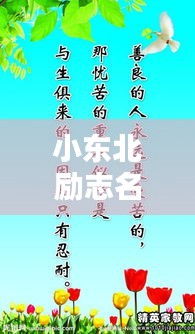 小東北勵(lì)志名言，激發(fā)無限潛能的短句