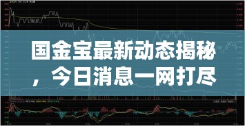 國(guó)金寶最新動(dòng)態(tài)揭秘，今日消息一網(wǎng)打盡