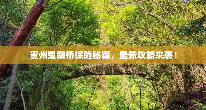 貴州鬼架橋探險(xiǎn)秘籍，最新攻略來(lái)襲！