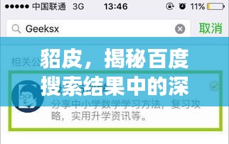貂皮，揭秘百度搜索結(jié)果中的深度解讀
