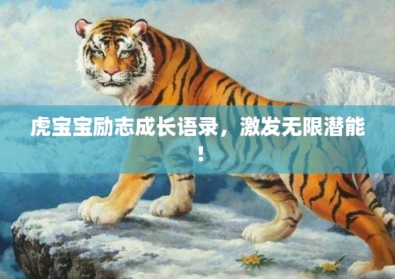 虎寶寶勵志成長語錄，激發(fā)無限潛能！
