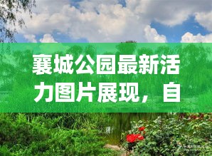 襄城公園最新活力圖片展現(xiàn)，自然盛景下的生機勃勃景象！