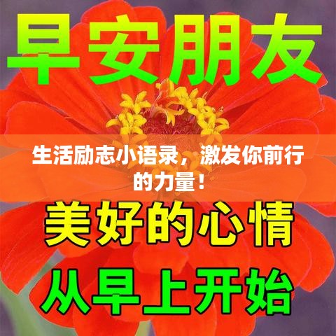 生活勵志小語錄，激發(fā)你前行的力量！