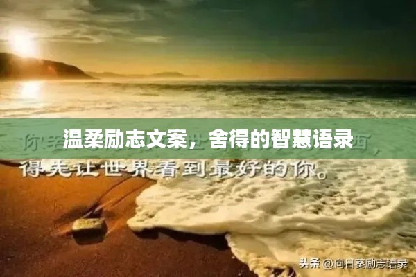 溫柔勵(lì)志文案，舍得的智慧語錄