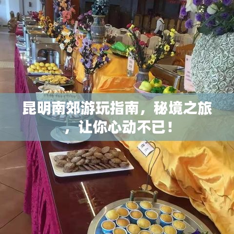 昆明南郊游玩指南，秘境之旅，讓你心動不已！