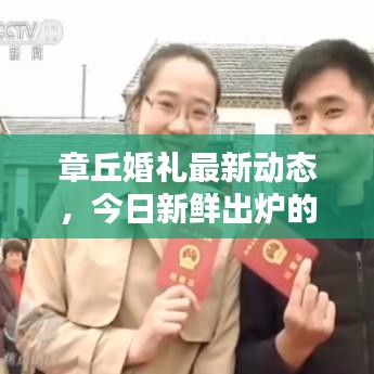 章丘婚禮最新動(dòng)態(tài)，今日新鮮出爐的婚禮消息匯總