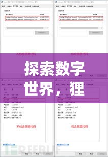 探索數(shù)字世界，貍窩下載器助你輕松百度暢游