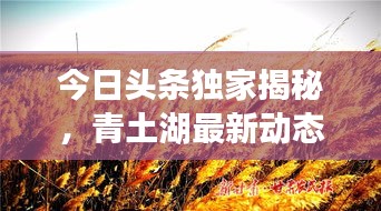 張袂成帷 第2頁