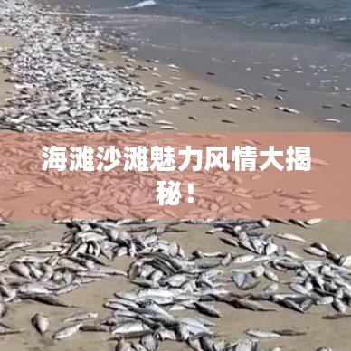 海灘沙灘魅力風(fēng)情大揭秘！