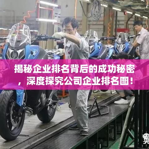 揭秘企業(yè)排名背后的成功秘密，深度探究公司企業(yè)排名圖！