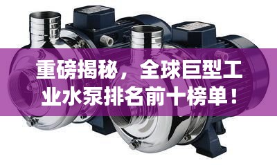 重磅揭秘，全球巨型工業(yè)水泵排名前十榜單！
