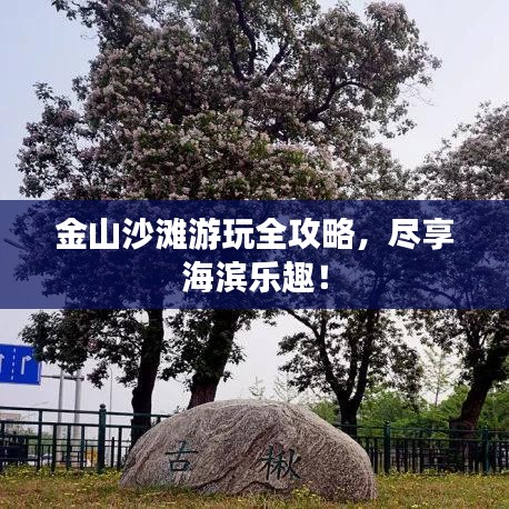 金山沙灘游玩全攻略，盡享海濱樂趣！