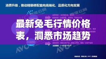 最新兔毛行情價(jià)格表，洞悉市場(chǎng)趨勢(shì)，把握行業(yè)脈動(dòng)