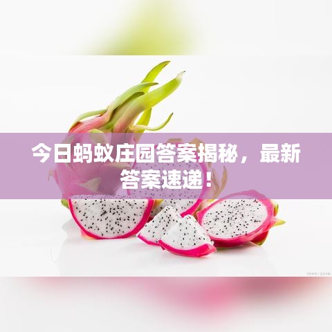 今日螞蟻莊園答案揭秘，最新答案速遞！