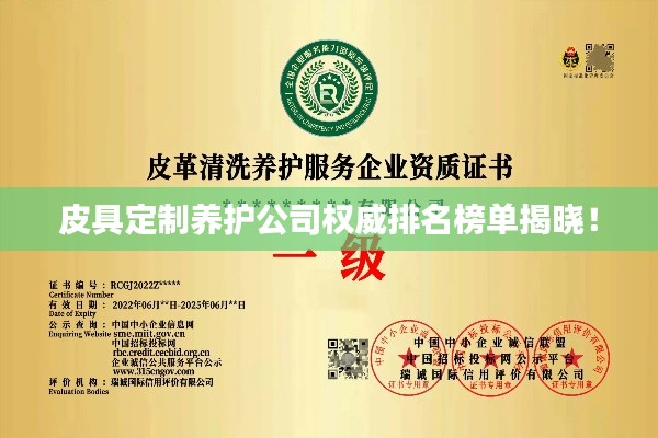 皮具定制養(yǎng)護(hù)公司權(quán)威排名榜單揭曉！
