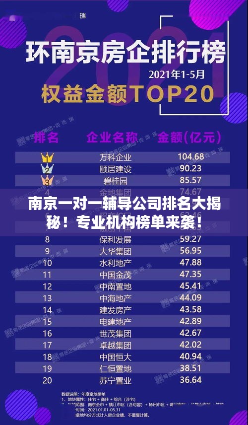 南京一對一輔導(dǎo)公司排名大揭秘！專業(yè)機構(gòu)榜單來襲！