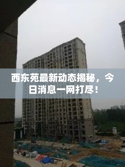 西東苑最新動(dòng)態(tài)揭秘，今日消息一網(wǎng)打盡！