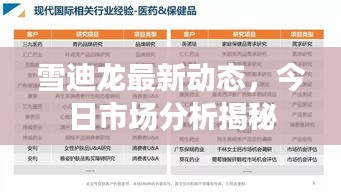 雪迪龍最新動態(tài)，今日市場分析揭秘