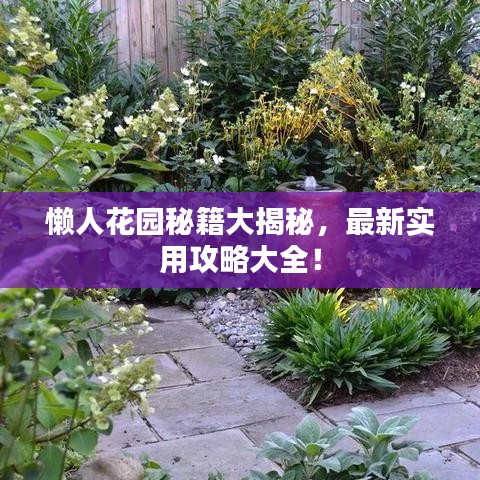 懶人花園秘籍大揭秘，最新實(shí)用攻略大全！