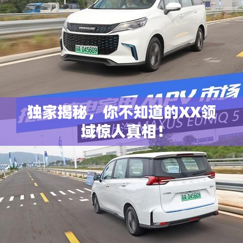 獨家揭秘，你不知道的XX領(lǐng)域驚人真相！