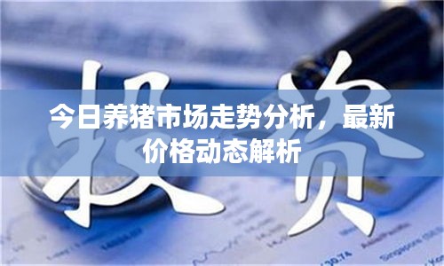 今日養(yǎng)豬市場(chǎng)走勢(shì)分析，最新價(jià)格動(dòng)態(tài)解析
