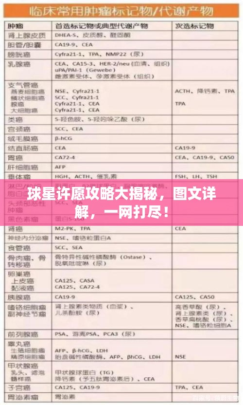 球星許愿攻略大揭秘，圖文詳解，一網(wǎng)打盡！