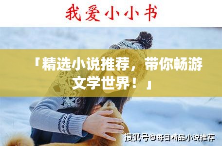 「精選小說推薦，帶你暢游文學(xué)世界！」