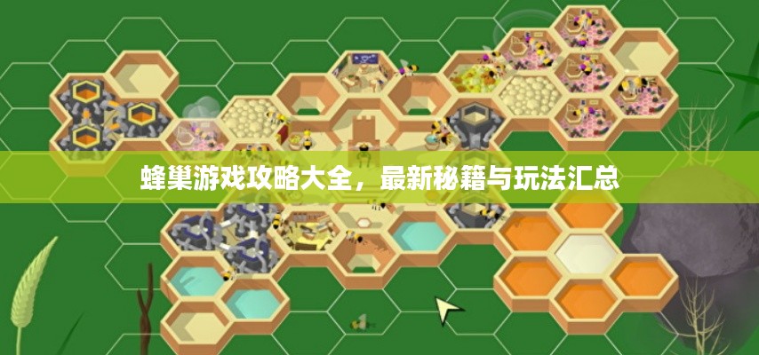 蜂巢游戲攻略大全，最新秘籍與玩法匯總