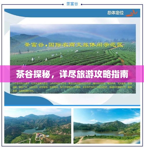 茶谷探秘，詳盡旅游攻略指南