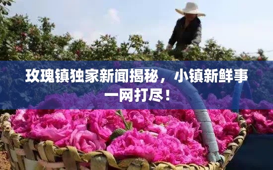 玫瑰鎮(zhèn)獨(dú)家新聞揭秘，小鎮(zhèn)新鮮事一網(wǎng)打盡！