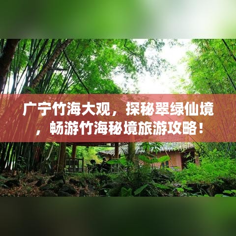 廣寧竹海大觀，探秘翠綠仙境，暢游竹海秘境旅游攻略！