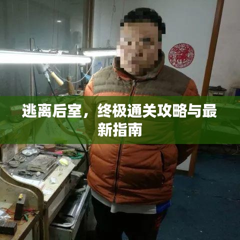 逃離后室，終極通關(guān)攻略與最新指南
