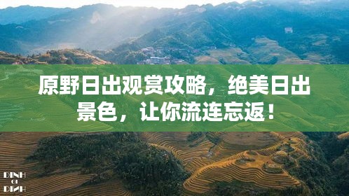 原野日出觀賞攻略，絕美日出景色，讓你流連忘返！