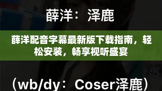 薛洋配音字幕最新版下載指南，輕松安裝，暢享視聽盛宴