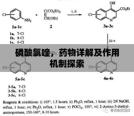 磷酸氯喹，藥物詳解及作用機制探索