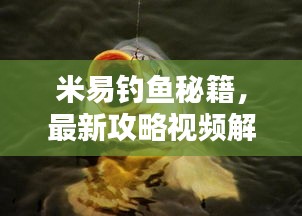 米易釣魚秘籍，最新攻略視頻解析，讓你輕松釣上大魚！