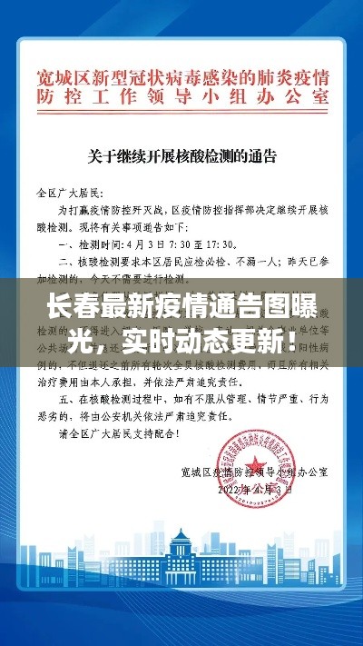 長春最新疫情通告圖曝光，實(shí)時(shí)動態(tài)更新！