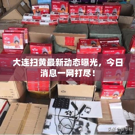大連掃黃最新動態(tài)曝光，今日消息一網(wǎng)打盡！
