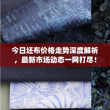 今日坯布價格走勢深度解析，最新市場動態(tài)一網(wǎng)打盡！