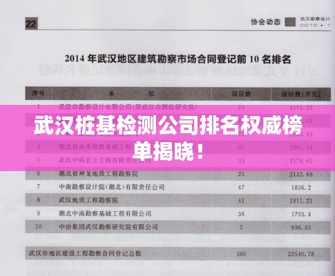 武漢樁基檢測(cè)公司排名權(quán)威榜單揭曉！