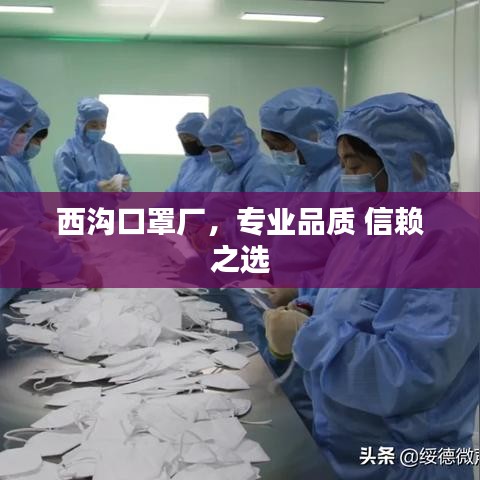 西溝口罩廠，專業(yè)品質(zhì) 信賴之選