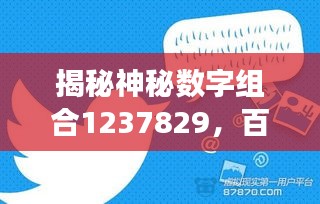 揭秘神秘數(shù)字組合1237829，百度背后的故事探秘